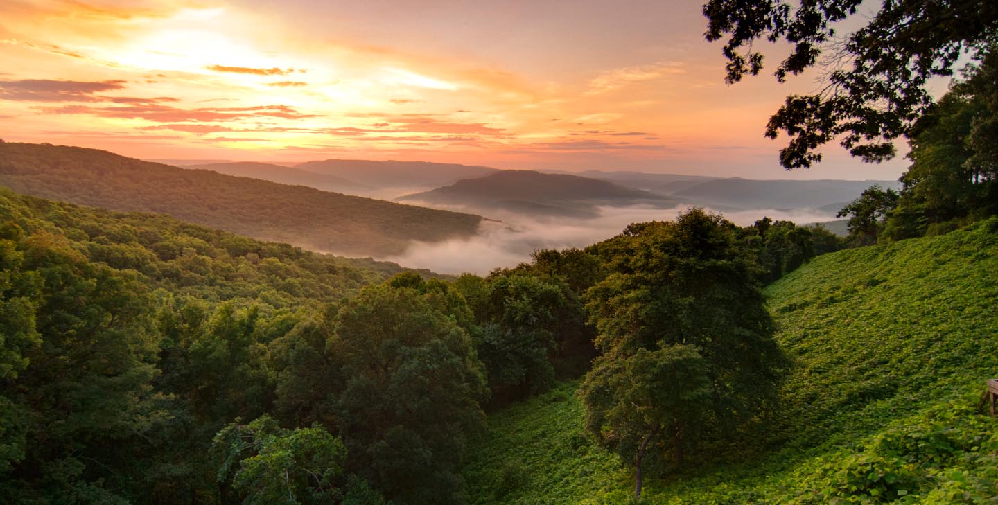 Jefferson County